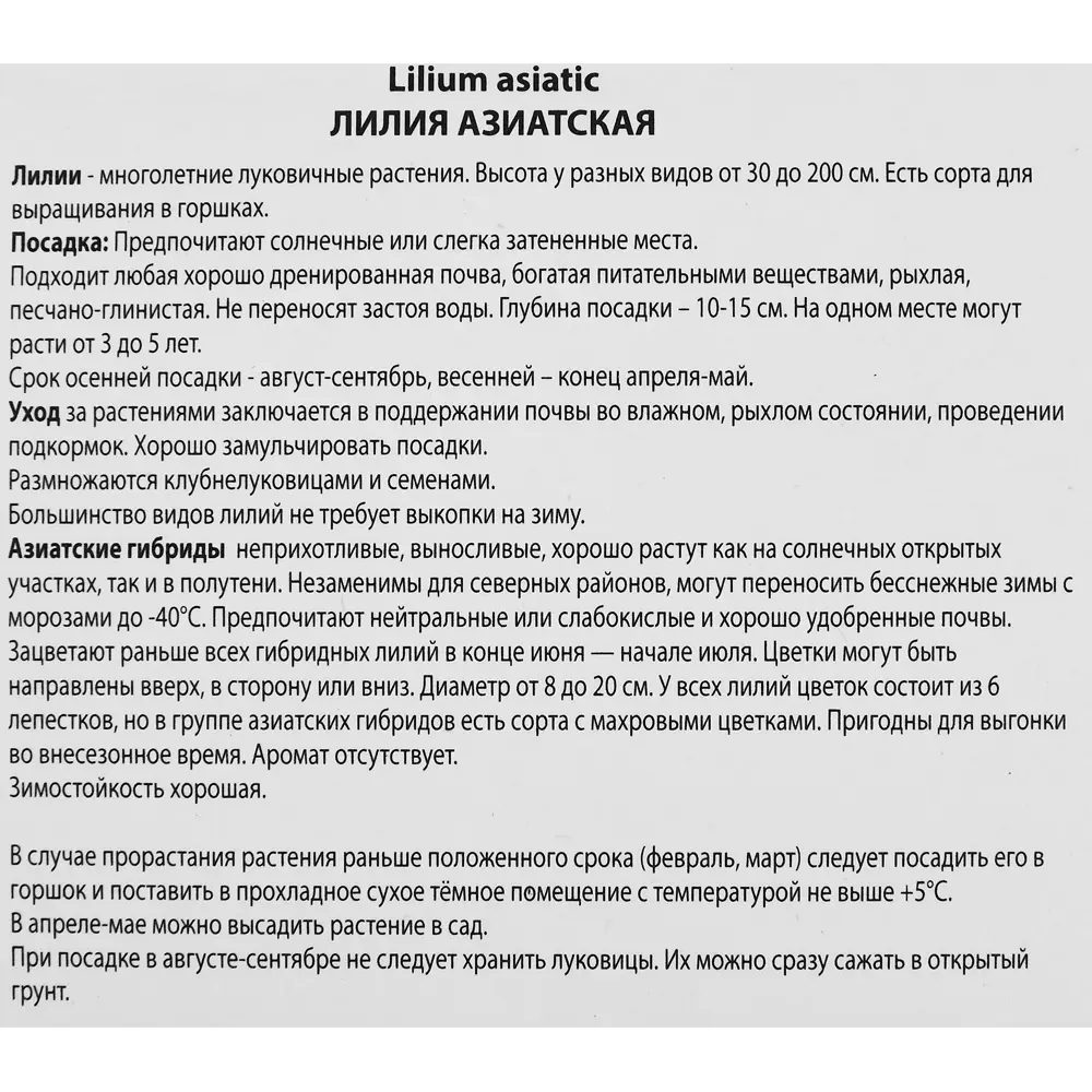 Лилия азиатская Пинк Джайант, 88659184 STLM-2048545 ПОИСК  - Вид №2
