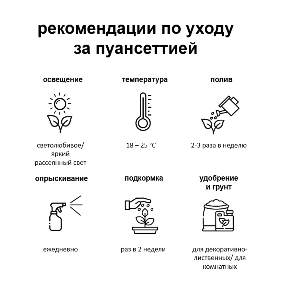 82941551 Пуансеттия микс 15 см STLM-1344270 Santreyd  - Вид №3