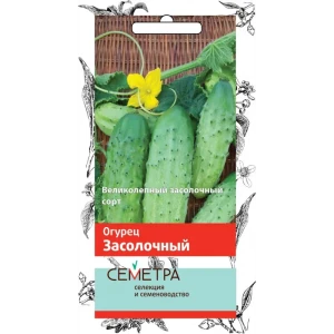 Семена Огурец Семетра «Засолочный» 83147286 STLM-2187246