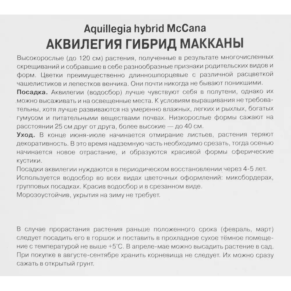 Аквилегия гибридная МакКаны Криста Барлоу 86410115 STLM-2083193 ПОИСК  - Вид №2
