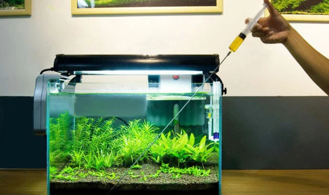 Система удобрения для аквариумных растений своими руками