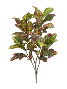20.1146GYP Кротон куст Большой зелёно-жёлто-розовый (Sensitive Botanic) Цветочная коллекция