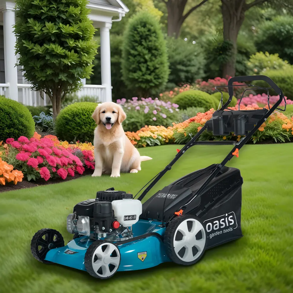 Газонокосилка бензиновая Oasis Garden Tools GB-32 6 л.с. 53 см STLM-2165976 - Вид №22