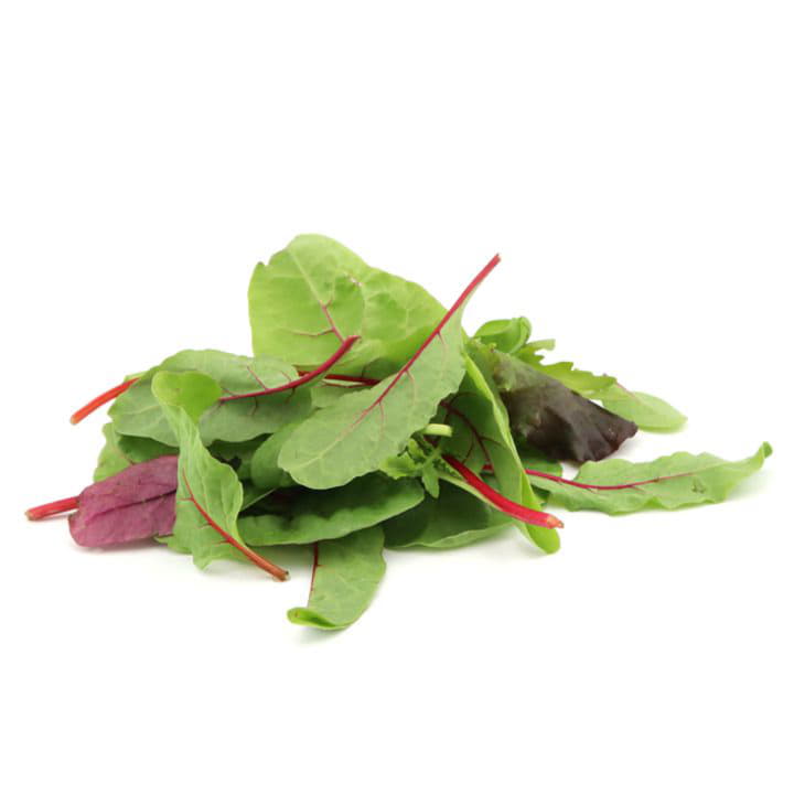 Салатный микс мангольд красный, руккола, Лолло Росса Santreyd 8787 - Вид №1