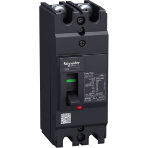 EZC100H2020 Силовой автомат EZC 100, TM-D, 30кА, 2P, 20А Schneider Electric EasyPact