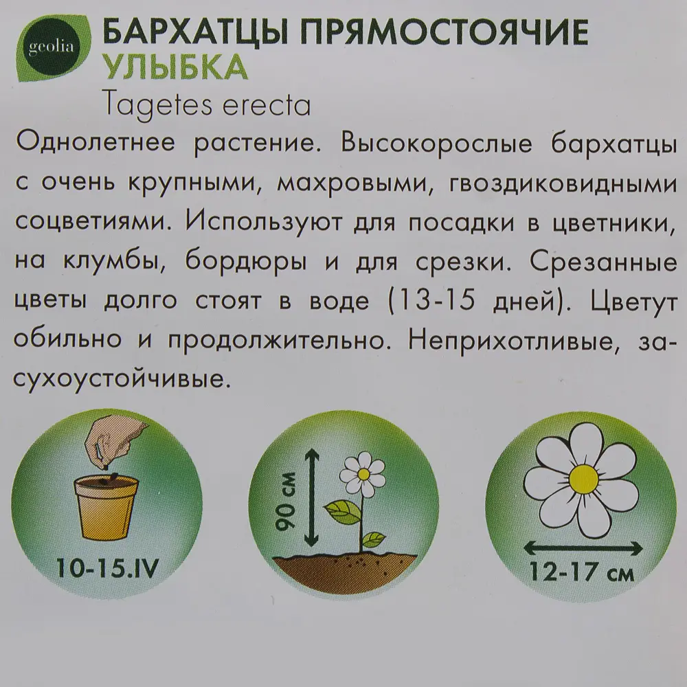 Бархатцы Улыбка GEOLIA - высокорослые с крупными соцветиями 17585527 STLM-0008385 - Вид №2