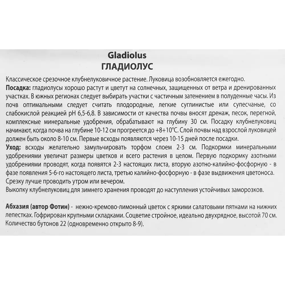 Гладиолус Абхазия, 3 шт 86410056 STLM-2192675 ПОИСК  - Вид №2