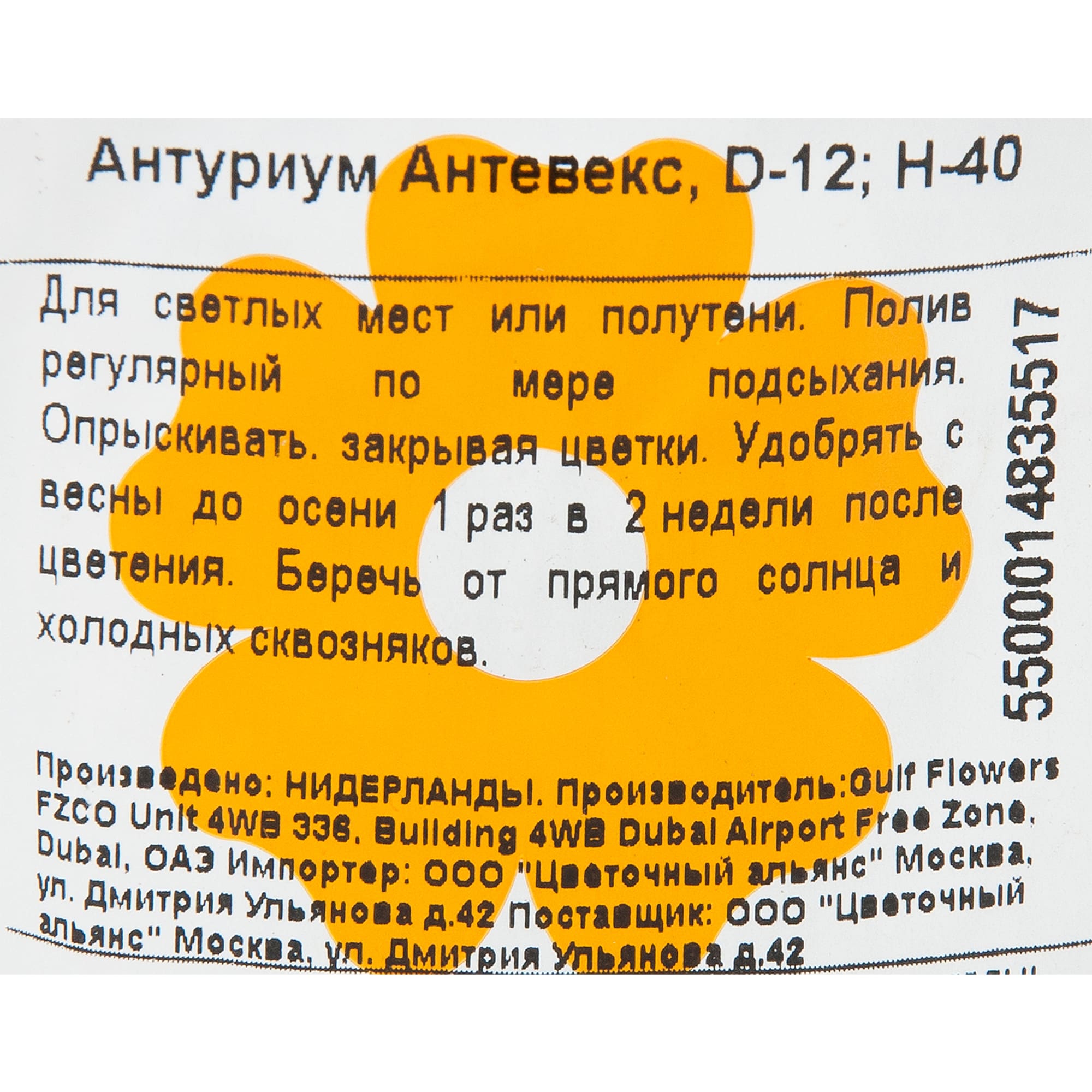 84450764 Антуриум Антевекс ø12 h40 см Santreyd  - Вид №2