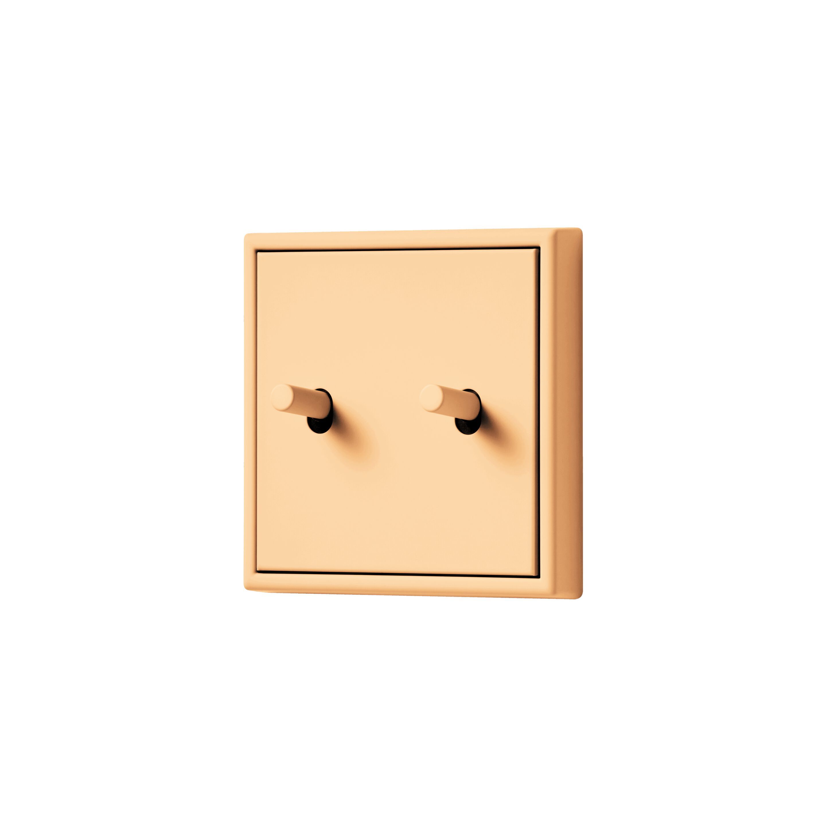 Пластиковый переключатель JUNG LS 1912 ARCH-00060462 - Вид №50