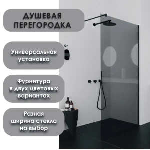 91840365 Душевая перегородка H.a.g HAG grey 800 BLC 80x195см черный профиль STLM-1468948