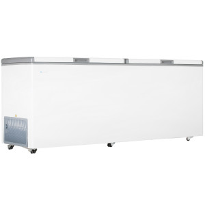 1229625 Морозильный ларь Frostor F 800 SD белый