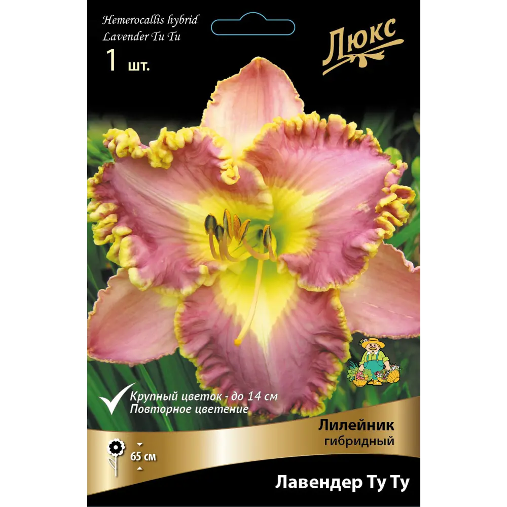 Лилейник гибридный Лавендер Ту Ту ПОИСК STLM-2168074