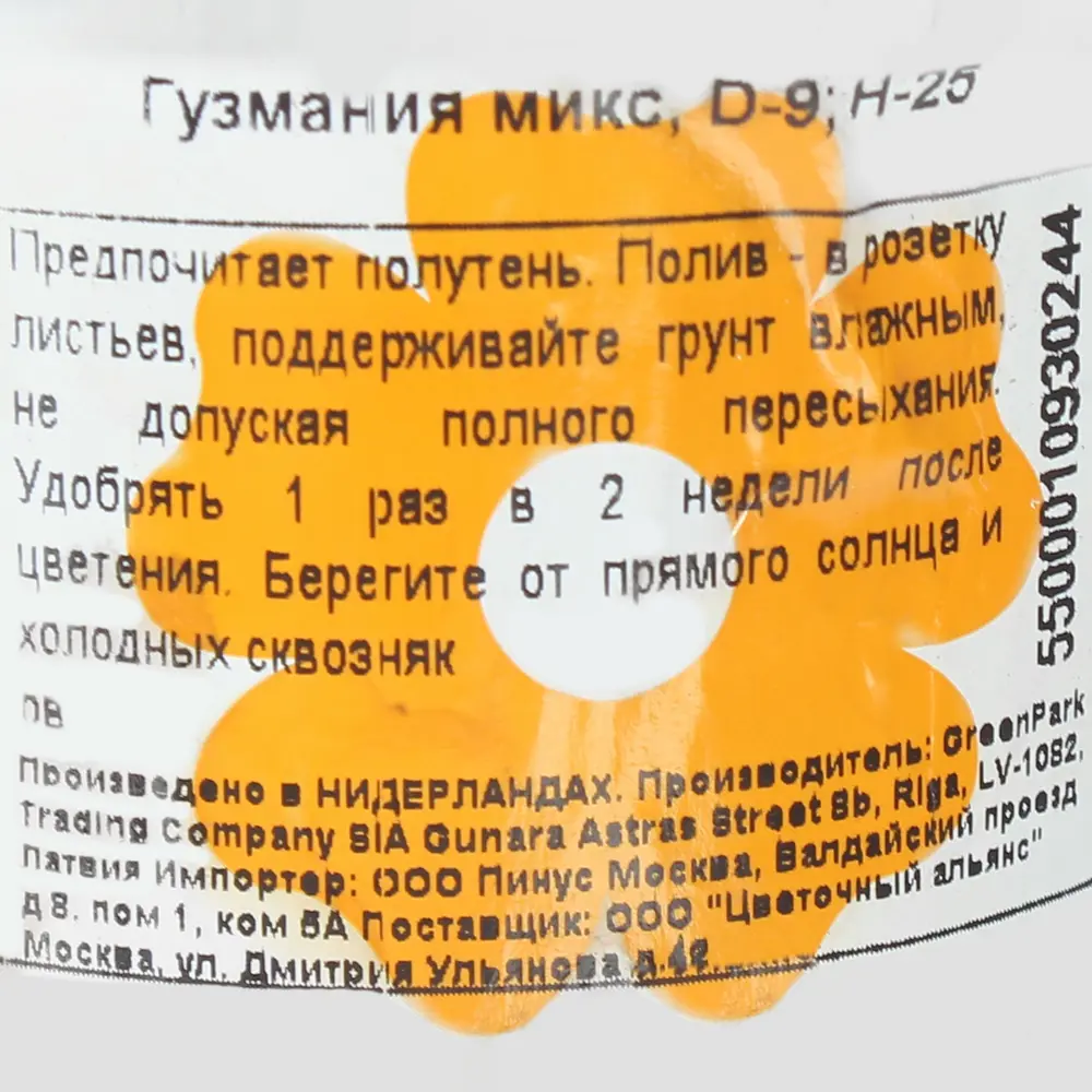 Гузмания микс 9х25 см 12500205 STLM-2134623 Santreyd  - Вид №2