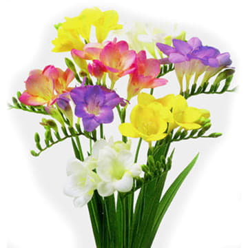 Фрезия эн микс 50 см Santreyd 26094