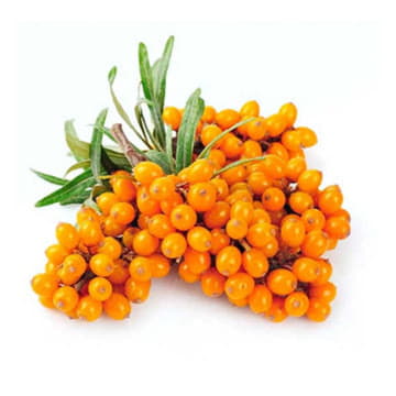 Облепиха ~700 г Santreyd 22780 - Вид №1