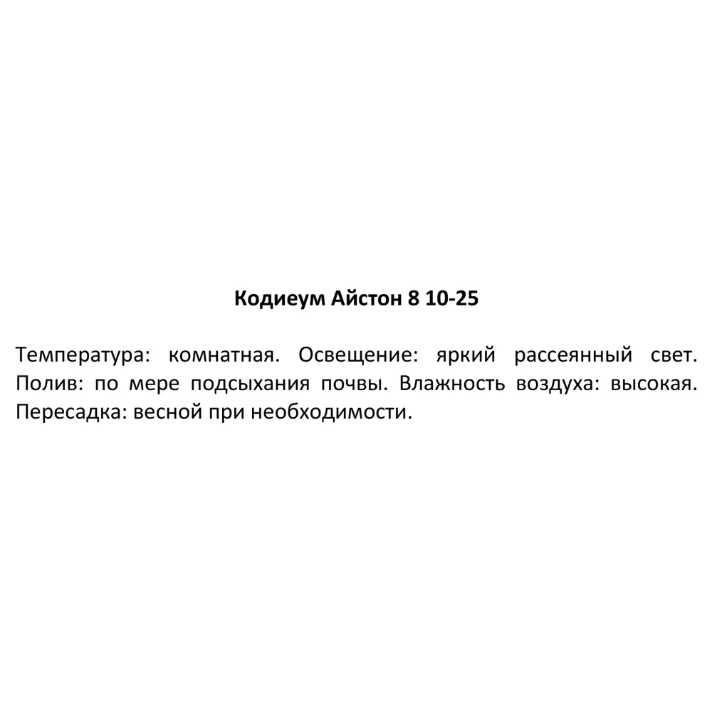Декоративно-лиственное растение Кодиеум айстон ø8 h10-25 см 82932733 STLM-2061981 Santreyd  - Вид №1