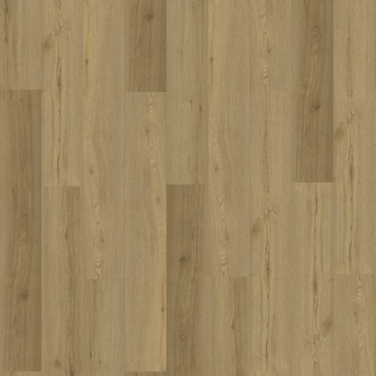 Низкая толщина SPC пол Virag Floors Evolution - pavimenti in SPC e LVT ARCH-00101000 - Вид №4