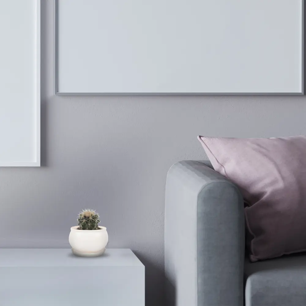 Santreyd Эхинокактус Грузони — золотой шар для интерьера 81959347 STLM-0015376 - Вид №2