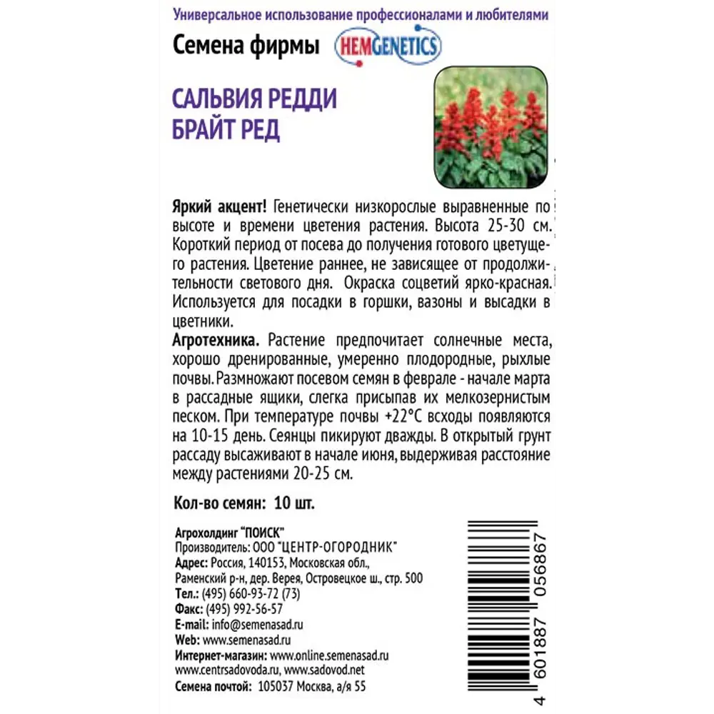 ПОИСК Сальвия Редди Брайт Ред - яркие акцентные цветы для сада 89401260 STLM-1564422 - Вид №1