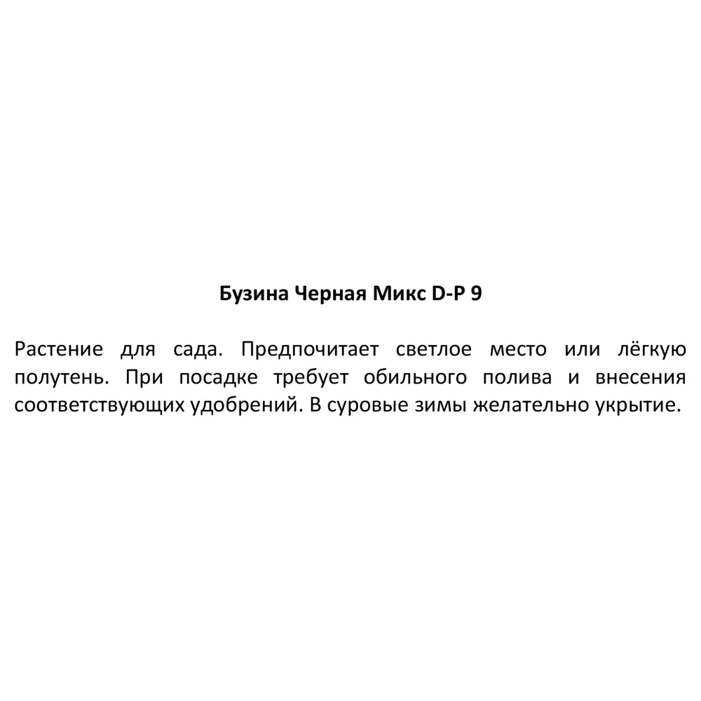 Бузина черная микс ø9 h15 см 87718580 STLM-2022129 Santreyd  - Вид №2