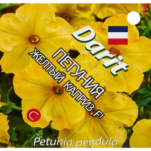 Семена цветов Дарит петуния Желтый каприз 8 шт. 89347575 STLM-2039104