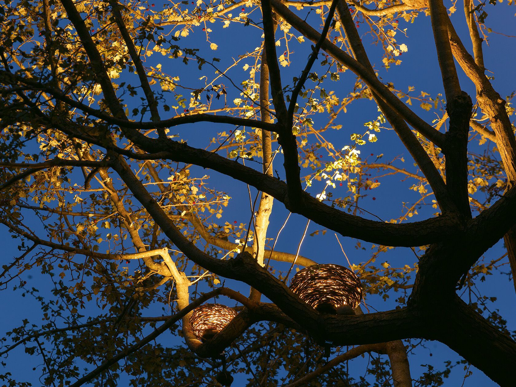 Напольная настольная лампа / деревянная напольная лампа [LND] Unexpected ARCH-00139817 - Вид №1