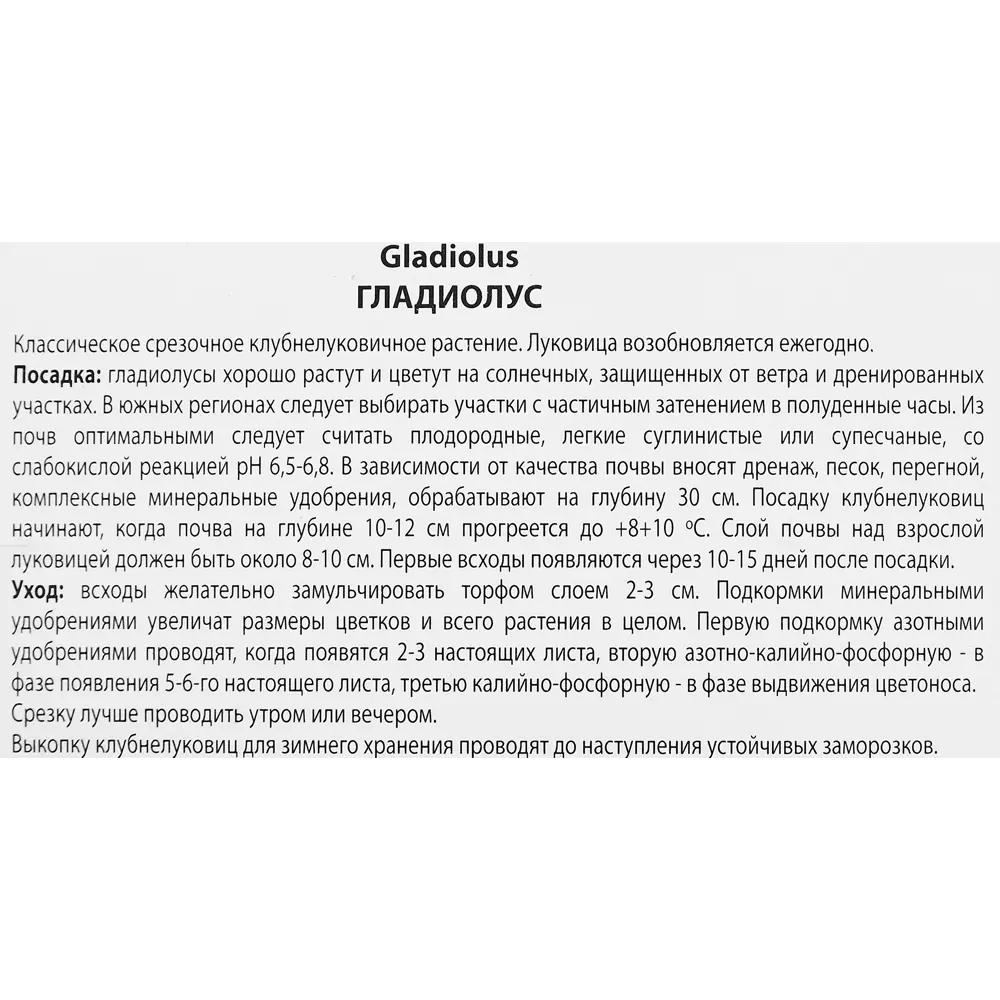 Гладиолус крупноцветковый Алфалфа, 3 шт ПОИСК STLM-2120246 - Вид №2