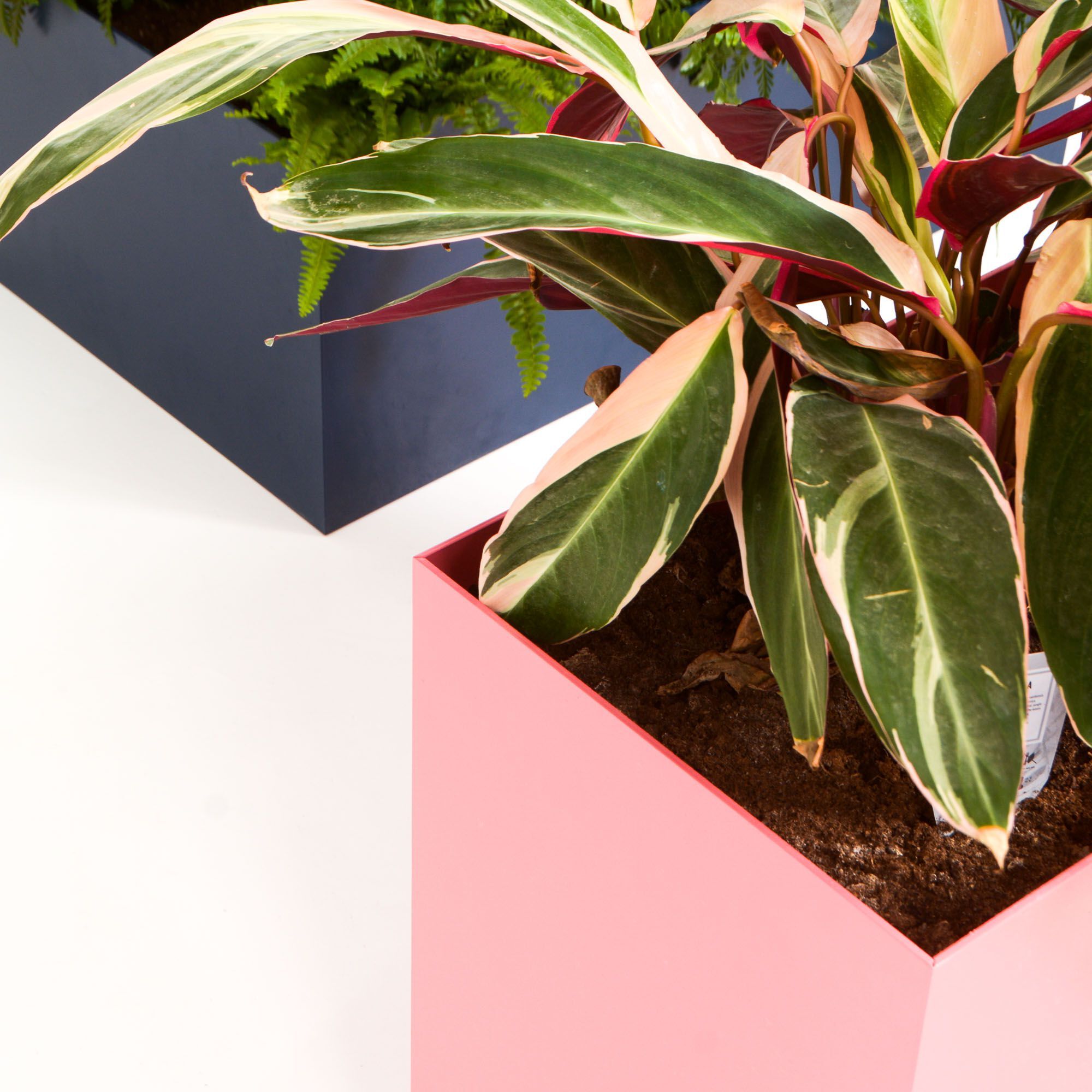 Прямоугольная алюминиевая плантатор с порошковым покрытием SIXINCH PLANTER ARCH-00109030 - Вид №8