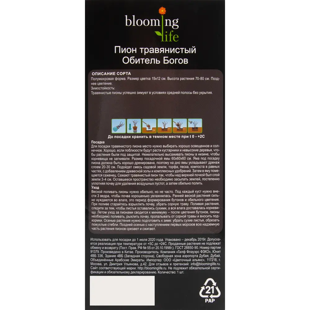 Пион травянистый Обитель богов в тубе BLOOMING LIFE STLM-2206642 - Вид №2