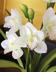 2531 778 a3 Пластиковая орхидея цимбидиум, горшечная, 57 см, real touch soft, бежево-белая H-andreas