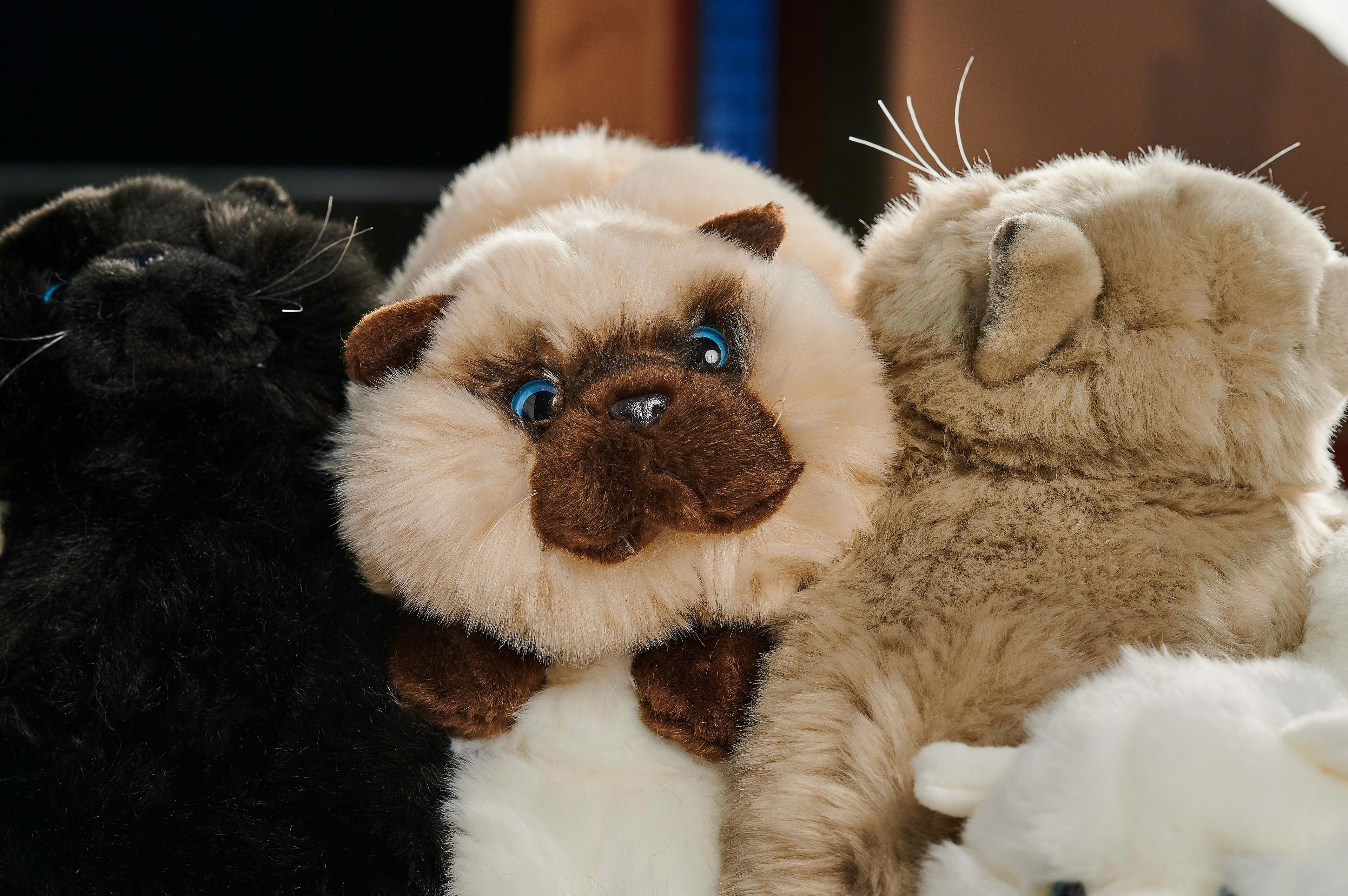 Полиэфирное кресло APCOLLECTION Aristo ARCH-00024782 - Вид №2