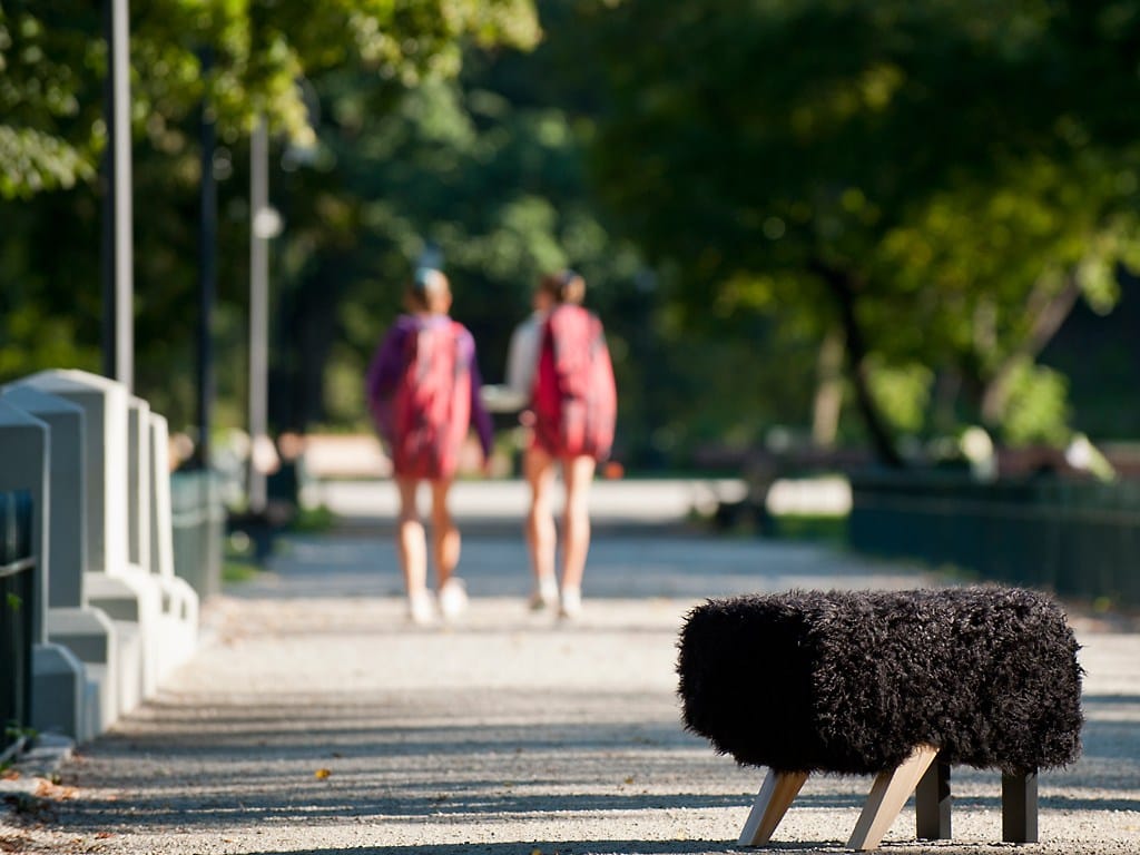 Ткань пуф Sedes Regia POOCH ARCH-00139967 - Вид №8