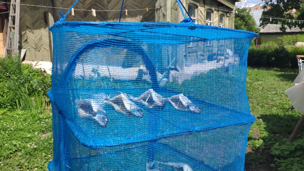 2402 Сушилка универсальная для рыбы, грибов и ягод 40*40*55 LAB.Space  - Вид №6