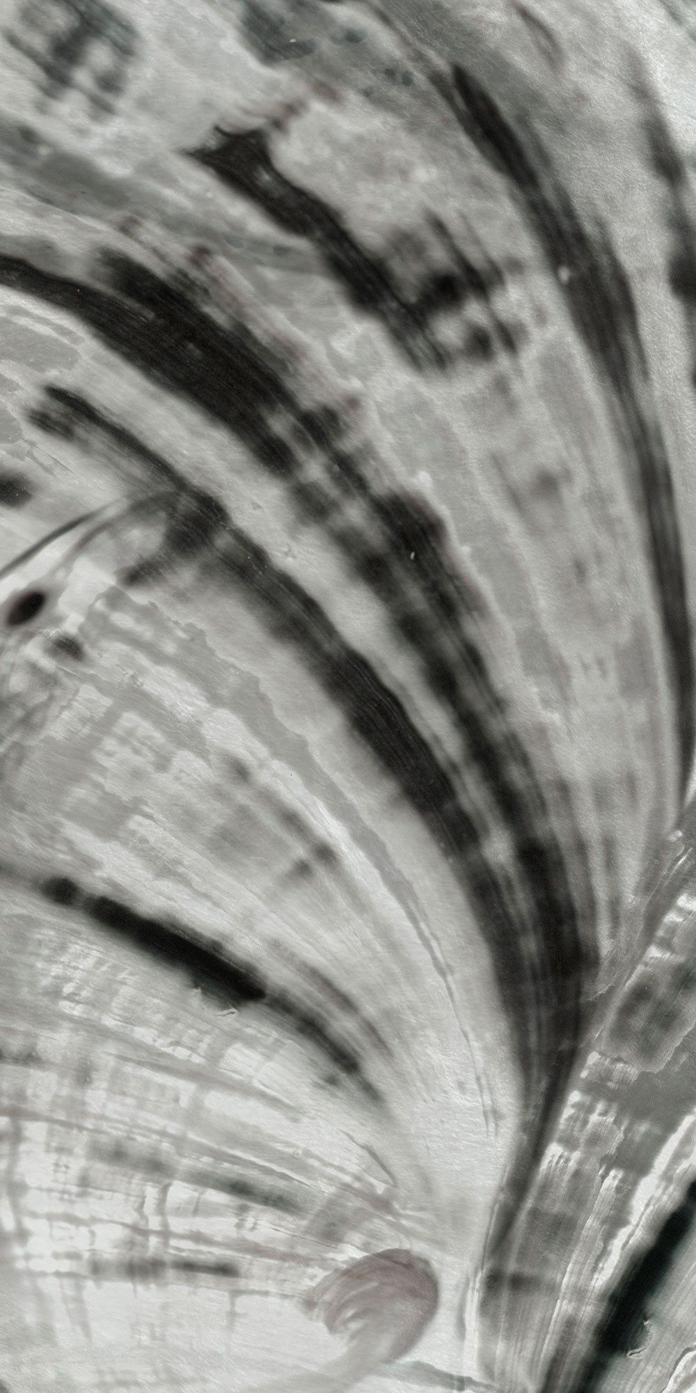 Декоративная панель из алюминия, стекла или ПММА Tecnografica ARCH-00029263 - Вид №1