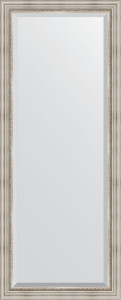 BY 6118 Зеркало напольное с фацетом в багетной раме - римское серебро 88 mm EVOFORM Exclusive floor