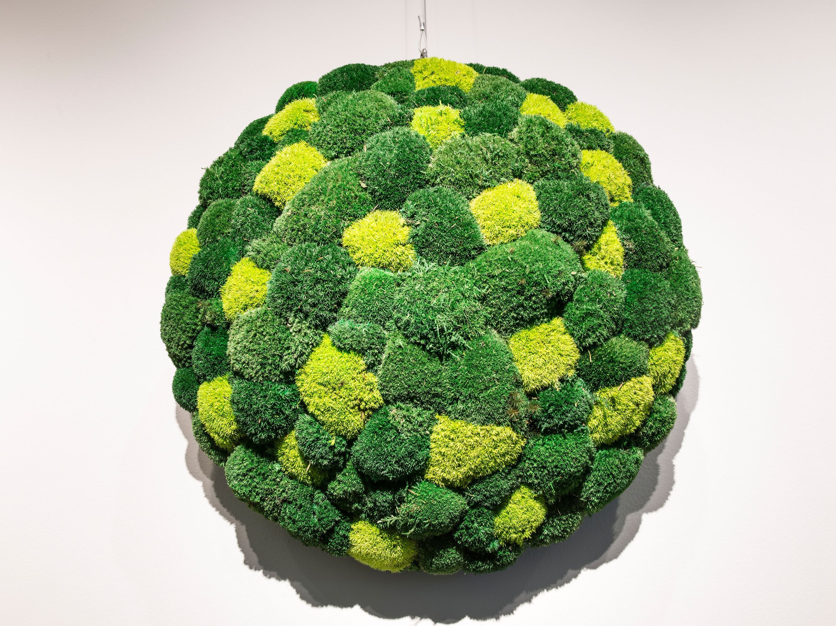 Растительная картина из мха Freund GmbH ARCH-00066512 - Вид №2