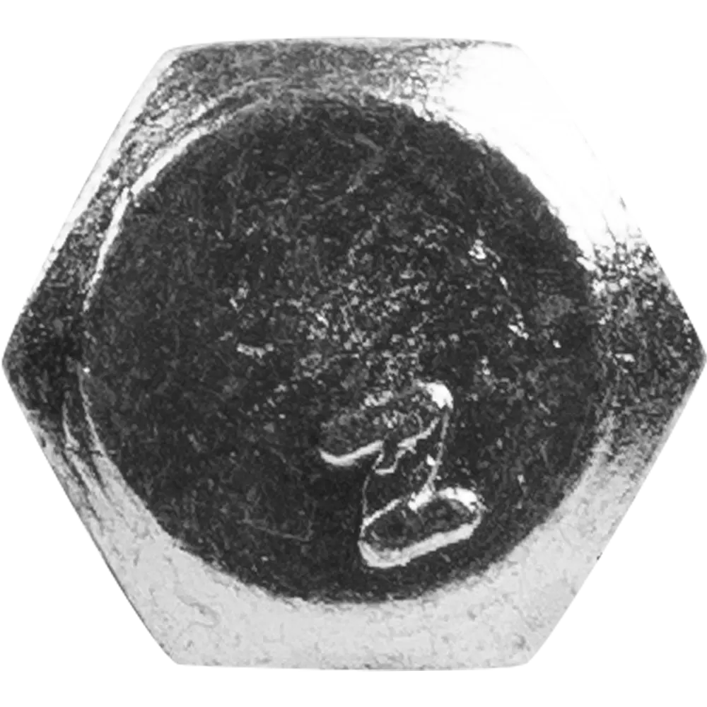 Шуруп с шестигранной головкой 6х60 мм Santreyd STLM-2022930 - Вид №1