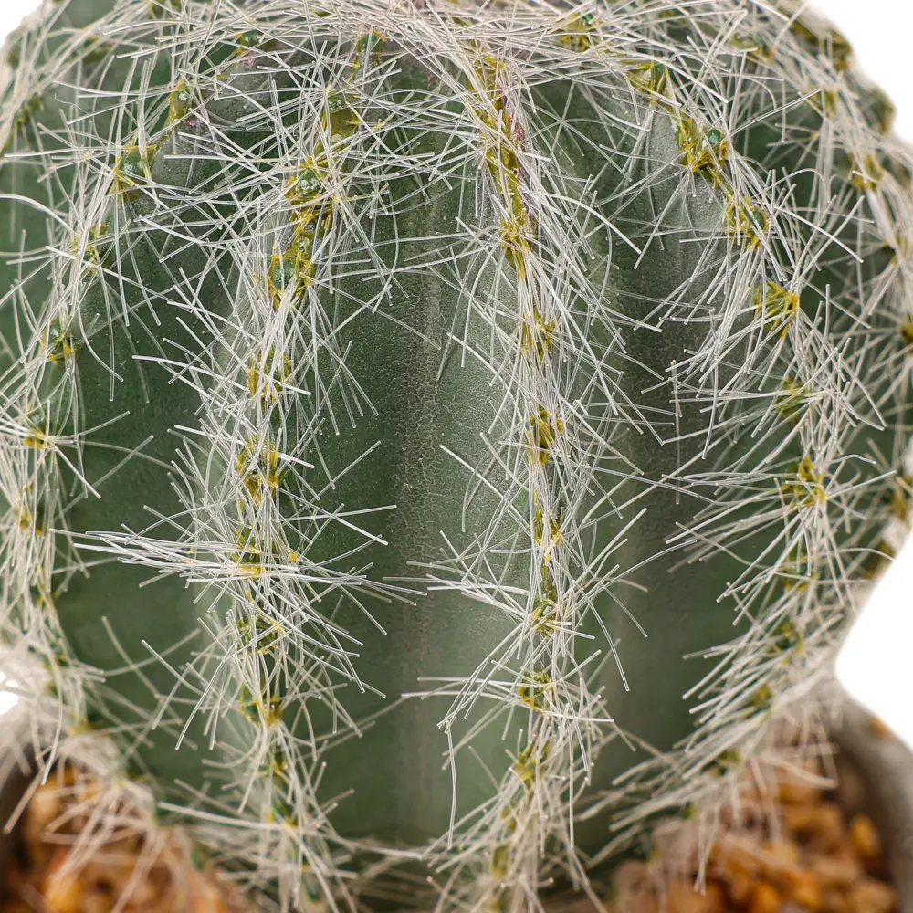 Искусственное растение в горшке Dream River Кактус 15 см STLM-2054049 - Вид №2