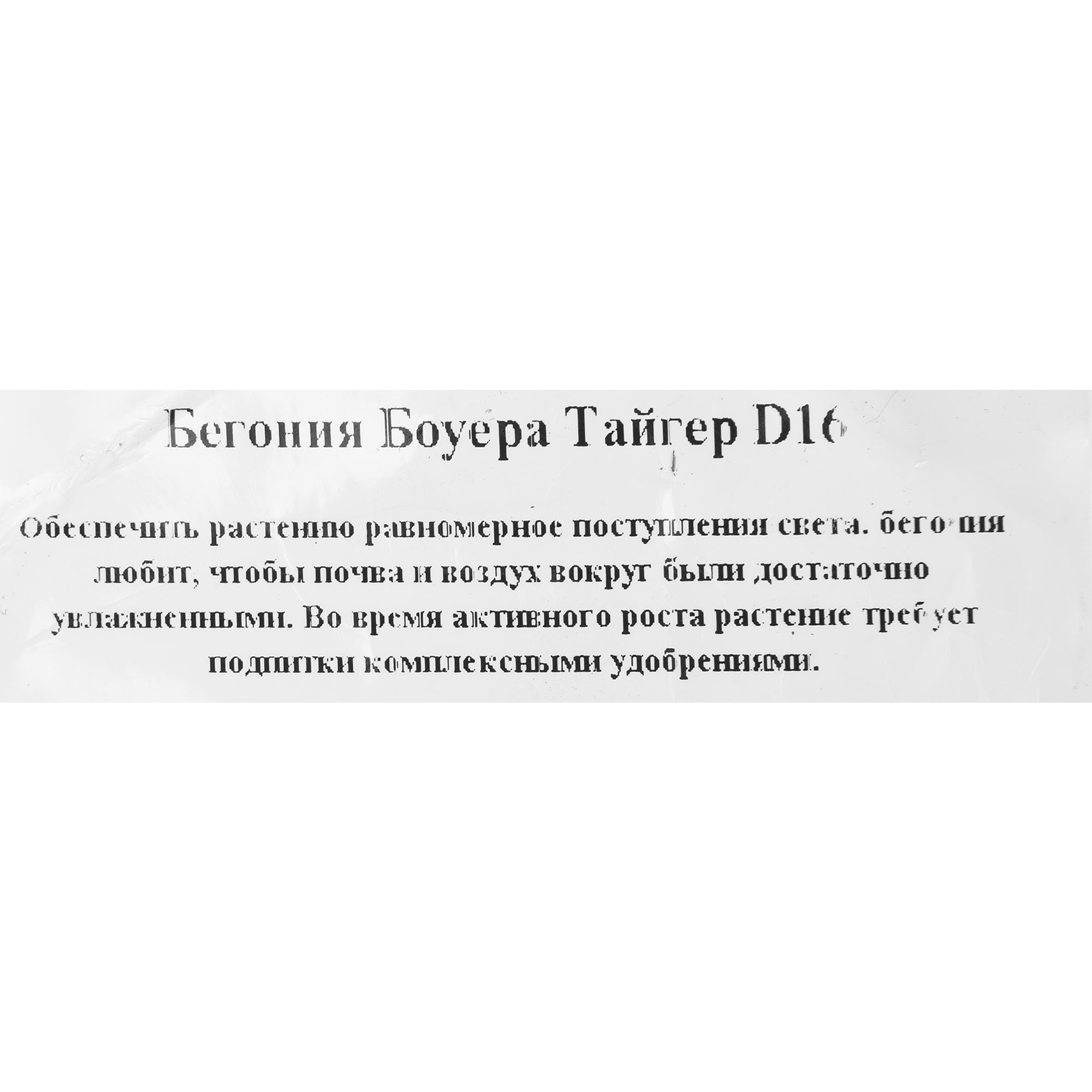 82941543 Бегония Боуэра 16x20 см Santreyd  - Вид №2