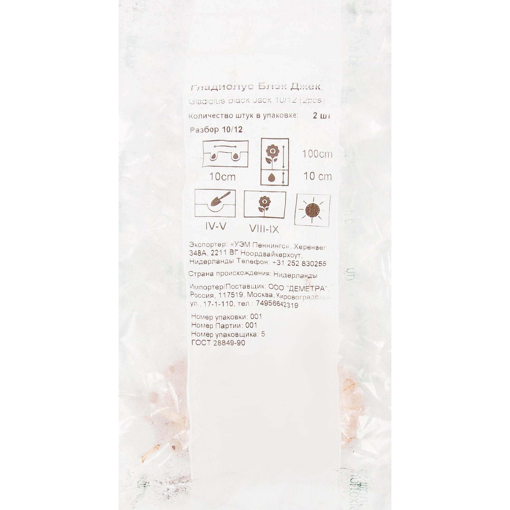 83760977 Гладиолус Блэк Джек луковица 10/12 Santreyd  - Вид №2