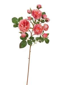 30.11170014PK Роза Дэвид Остин ветка Спрей пастельно-розово-малиновая Цветочная коллекция