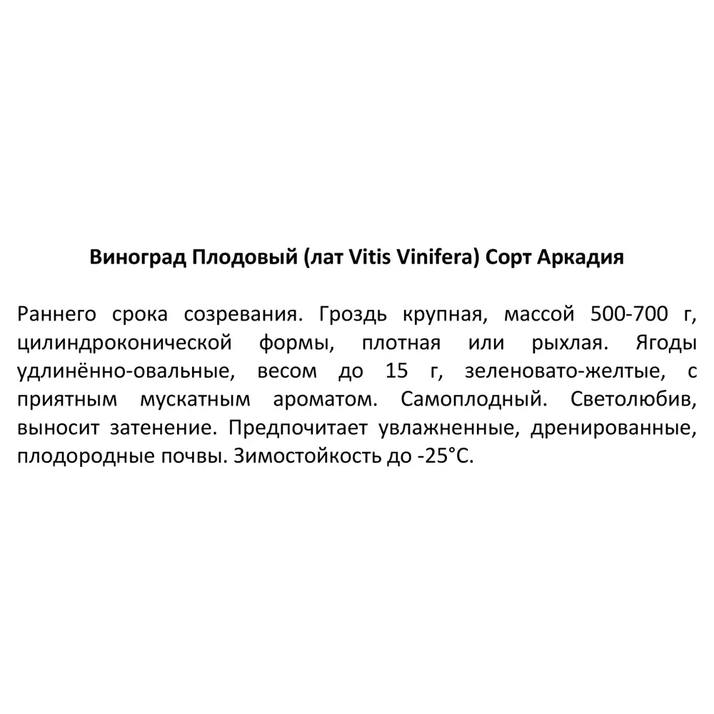 Виноград плодовый Аркадия ø15 h50 см 85607948 STLM-2176781 Santreyd  - Вид №3