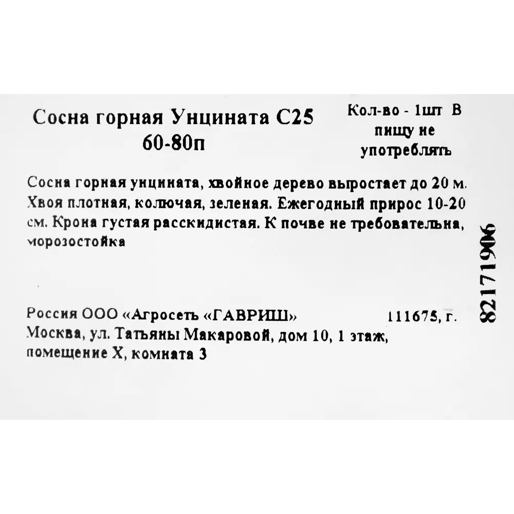 Сосна горная «Унцината» C25 60-80 см ГАВРИШ STLM-2203794 - Вид №1