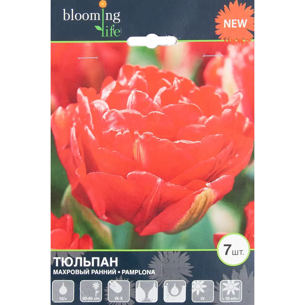 Тюльпан «Памплона» размер луковицы 12, 7 шт BLOOMING LIFE STLM-2145510