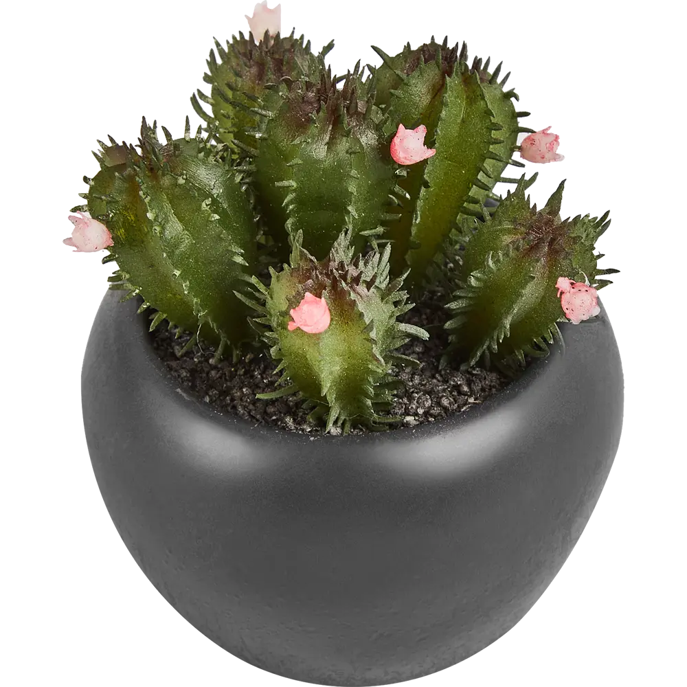 Искусственное растение в пластиковом горшке Atmosphera Кактус D6.3x11.5 см микс STLM-2119665 - Вид №6