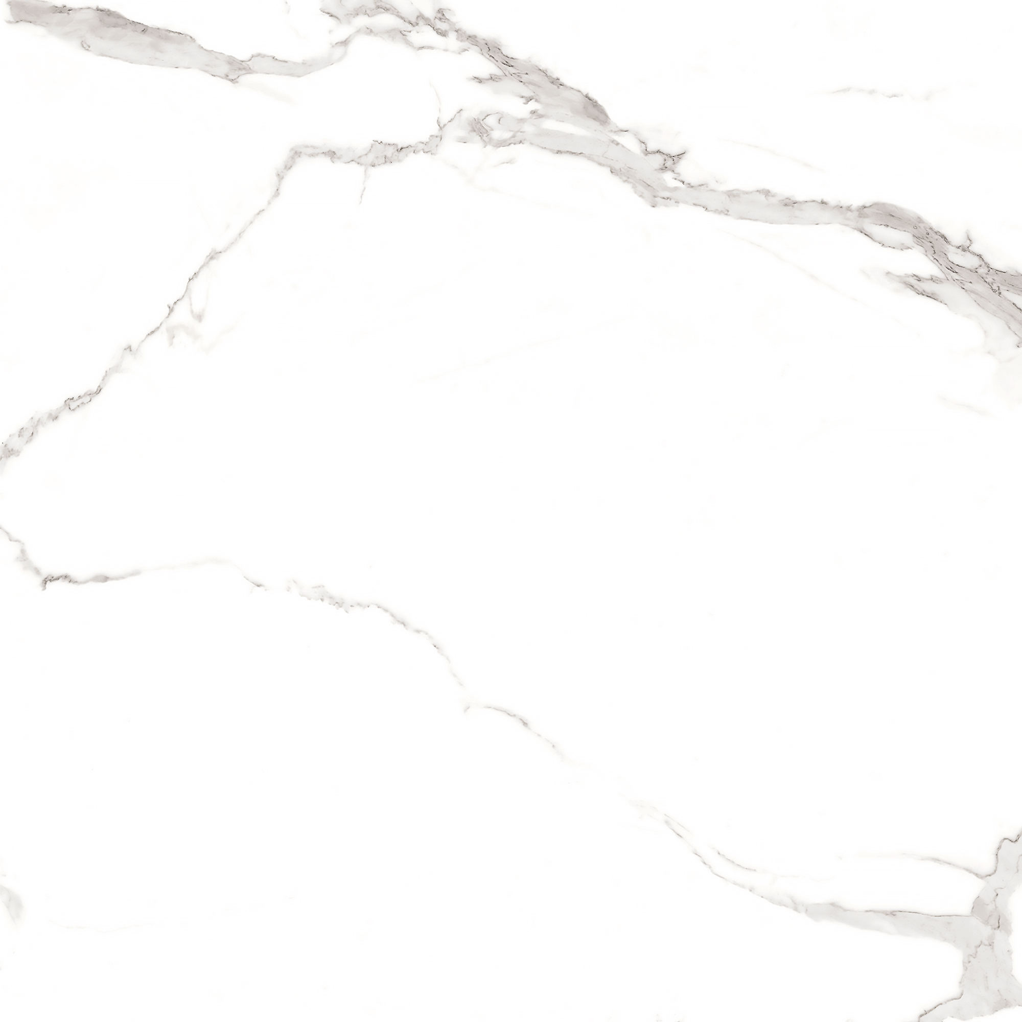 Керамогранит STATUARIO MIRES 60х60 Arcadia Ceramica FP1012-A STLM-1571933 89405719  - Вид №12