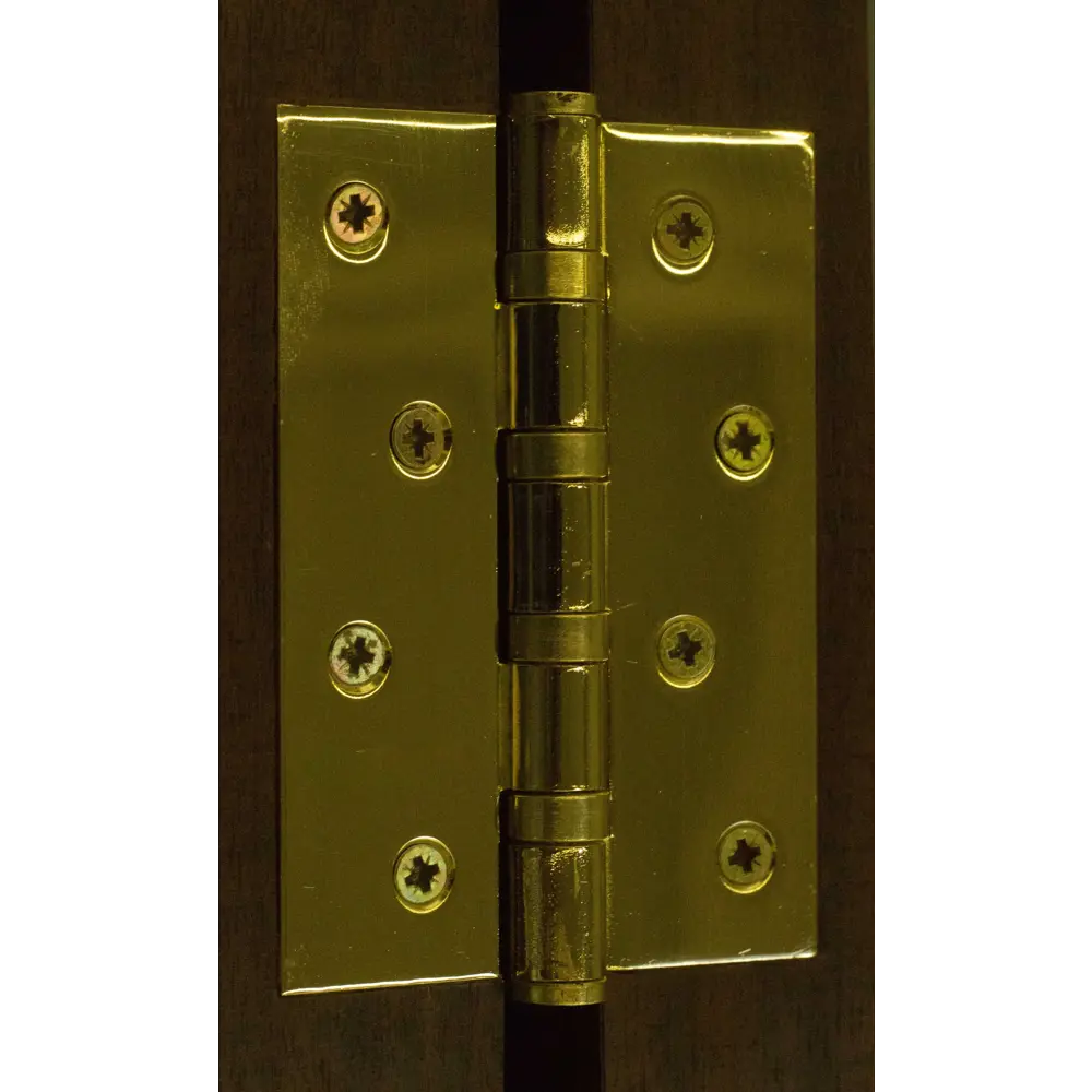 Петля универсальная Fuaro 4BB/А 100x75x2.5 мм сталь цвет латунь STLM-2018676 - Вид №3