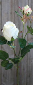 2628 778 a3 Шелковая роза, 1 цветок, 1 бутон, 80 см, бежево-белая H-andreas