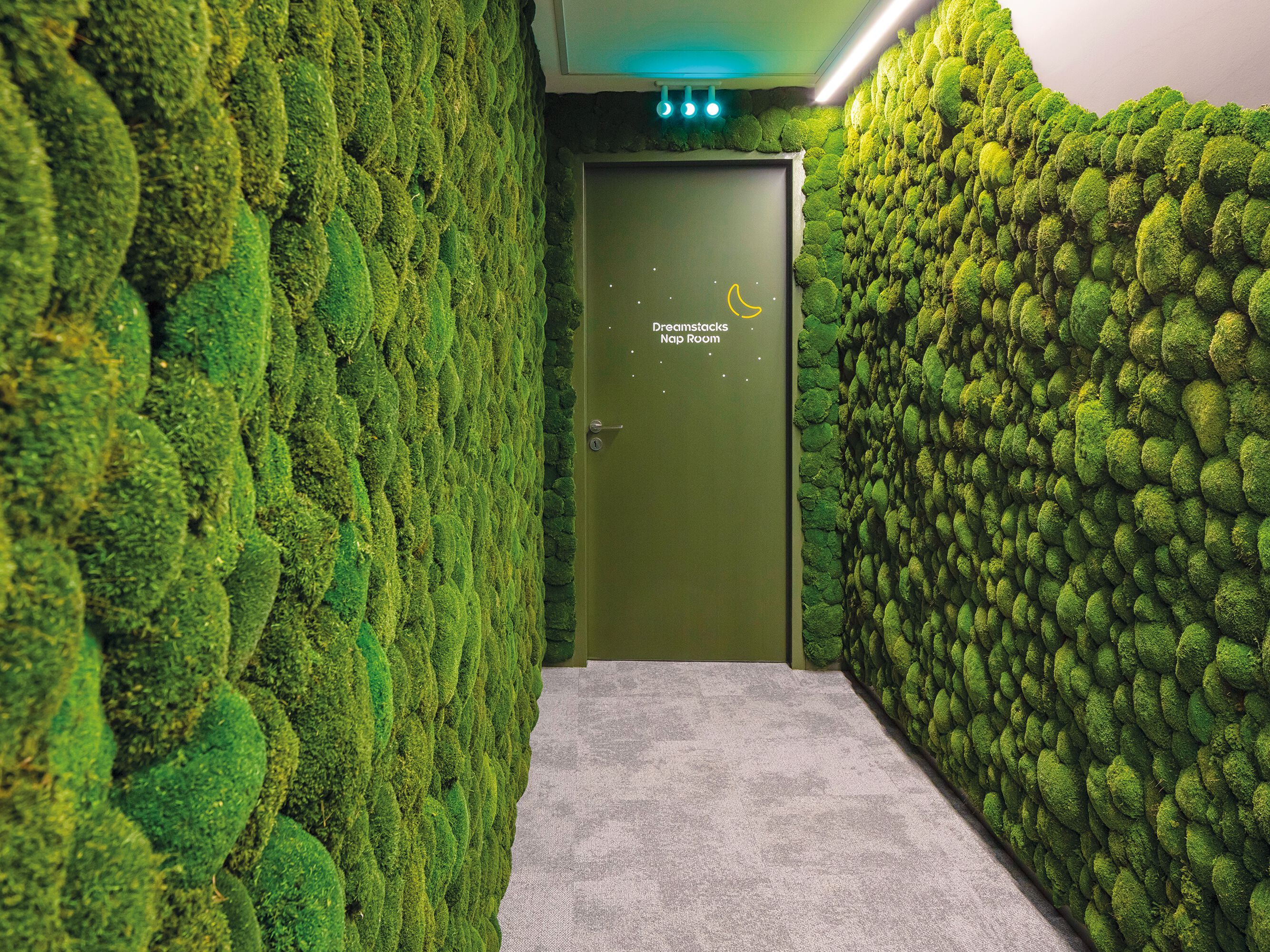 Растительная стена из мха Freund GmbH ARCH-00023492 - Вид №1