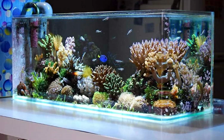 Как сделать декорации для аквариума